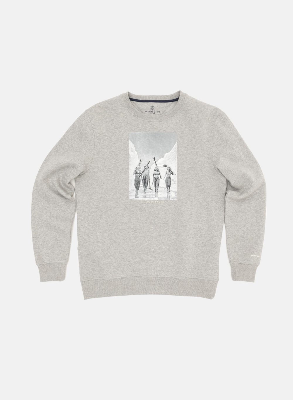 SWEATSHIRT COLOURS & SONS FRONT PRINT GRAY